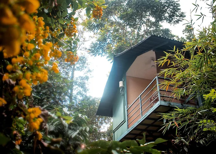 Edens Munnar